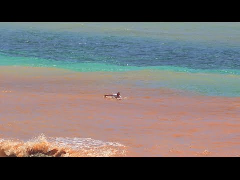 What Groveling In Bali Looks Like - The Bukit, 13 January 2021