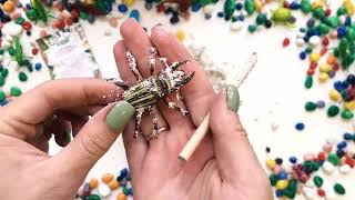 Набор для проведения раскопок Насекомые 