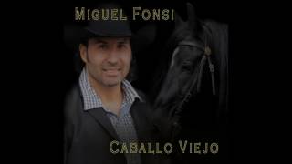 CABALLO VIEJO MIGUEL FONSI