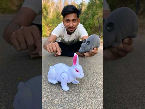 RC Mouse 🐁 and Rabbit Unboxing