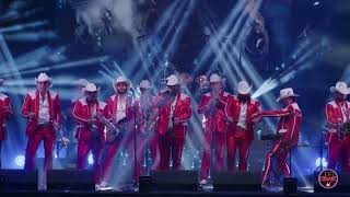 EL GATO GRUPO LABERINTO EN VIVO