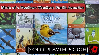 Sir Thecos - Birds of a Feather video thumbnail