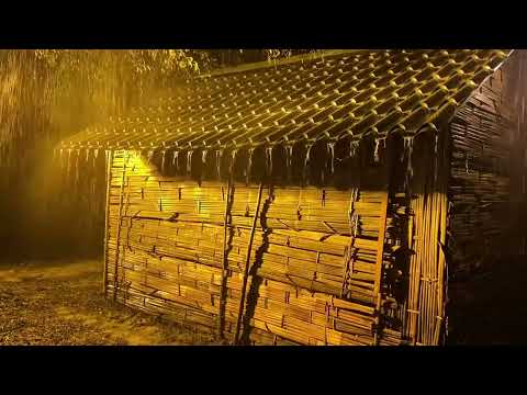 Pioggia Rilassante nella Foresta Nebbiosa per Dormire in 5 Minuti - Suoni di Pioggia e Temporale