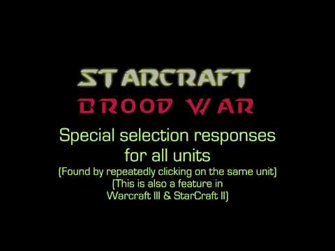 StarCraft: Brood War – Special “Poking” responses for all units