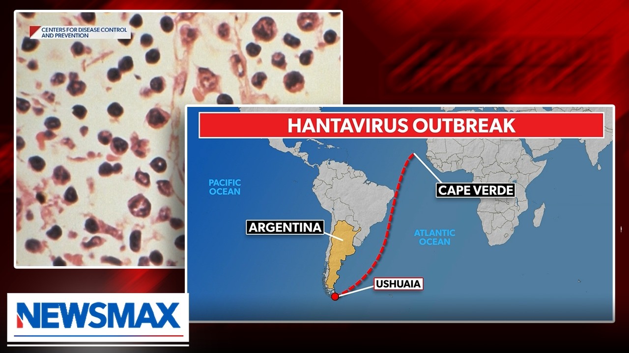 'Hantavirus is no laughing matter': Dr. Bogoch on outbreak ravaging cruise ship