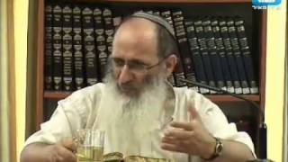 הרב אורי שרקי – סוכה ונצחיות מלכות בית דוד