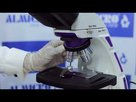VXL TRINO Research Trinocular Microscope
