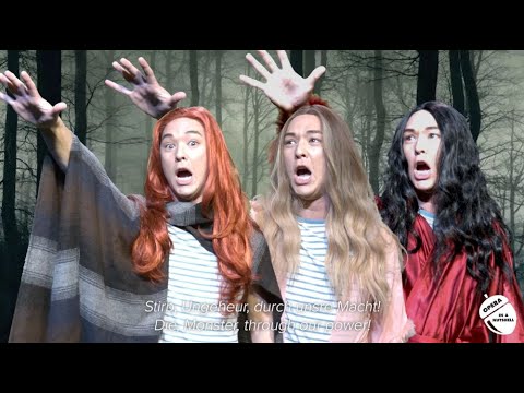 In A Nutshell - The Magic Flute