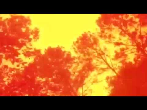 Dj Rou - Afrowalk (Opponent Rework) [Flexi Cuts]