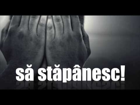 Vasile Alexandru Talos - Cine e Stăpânul?