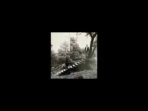 Timber Timbre - Trouble Comes Knocking (From the vinyl record)