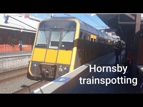 Hornsby trainspotting