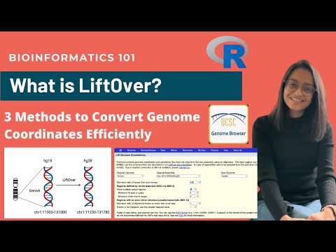 What is LiftOver? | 3 Methods to Convert Genome Coordinates Efficiently