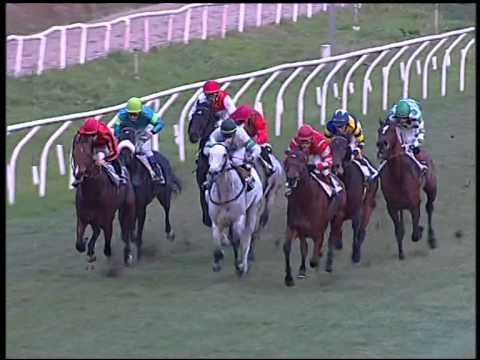 Galoppo 11/01/2015 - 5° corsa