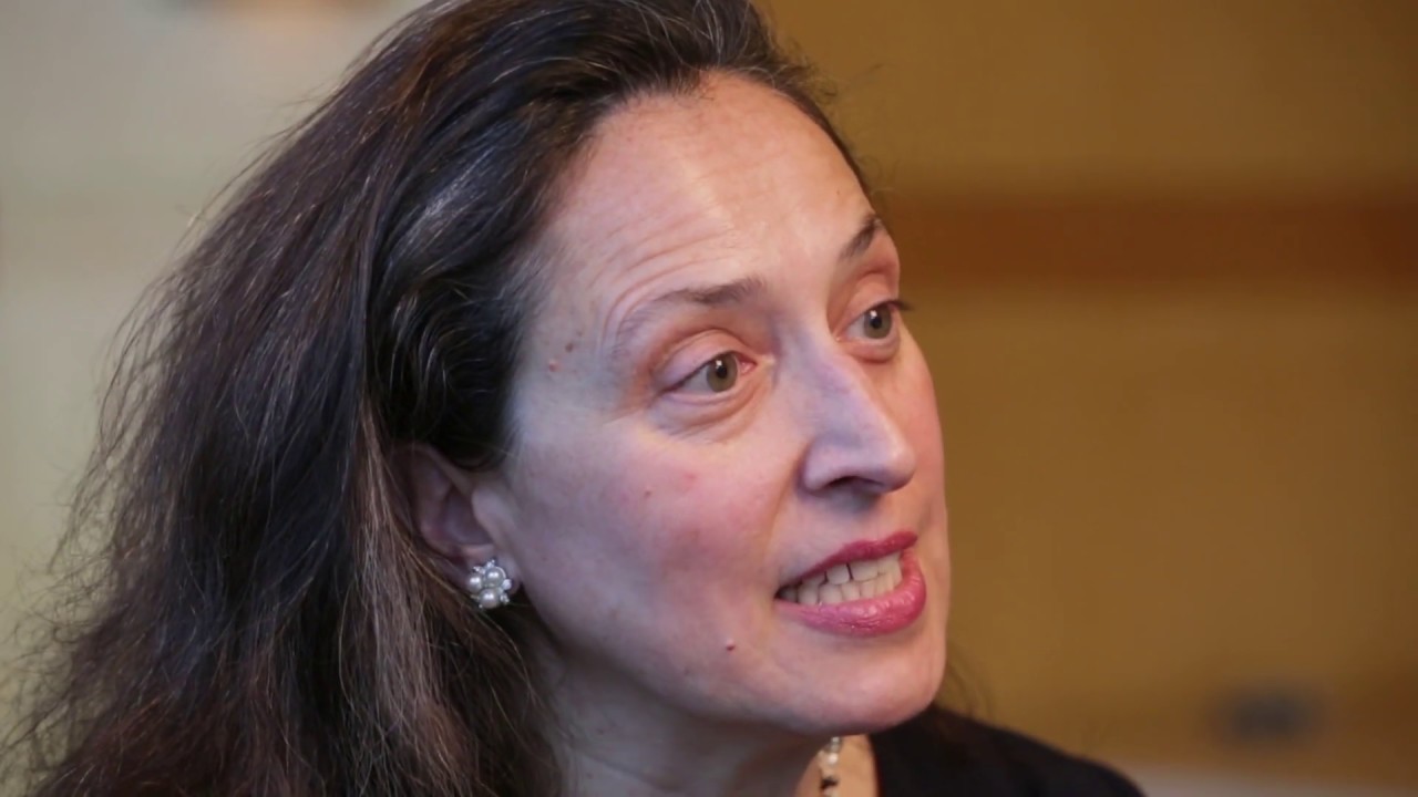 A Blueprint for Brain Development