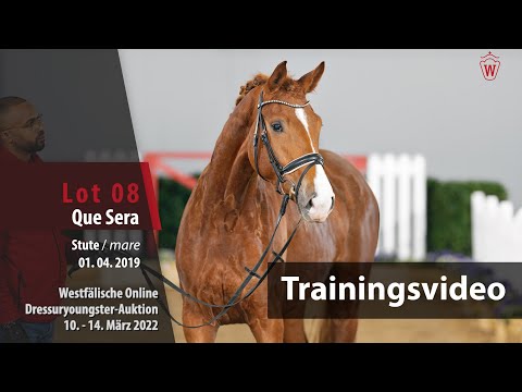 Dressuryoungster-Auktion Training Lot 8 Que Sera Stute v. Quantensprung - Ehrenpreis
