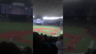 代打栗山巧 #seibulions #栗山巧 #いざ栗山