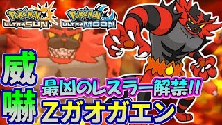 ガオガエン ポケットモンスター ハルカ メノクラゲ ヨクバリス