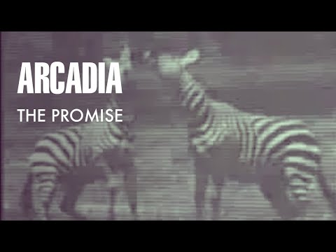 Arcadia - The Promise (Official Music Video)