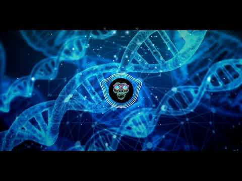 Cartoon x nublu x Gameboy Tetris - Biology