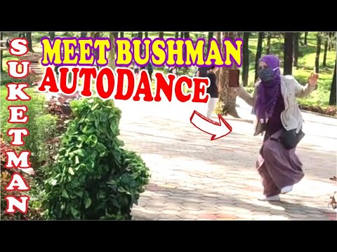 joget-asik-bushman-prank-prank-manusia-pohon