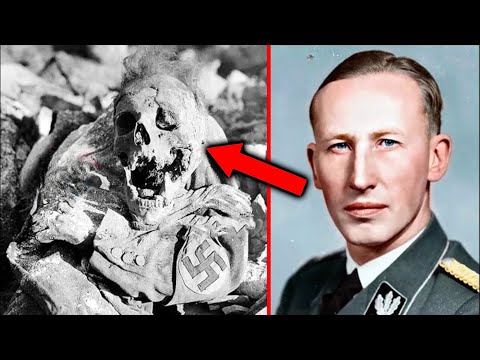 History Grip DE and TIME SCAR History DE