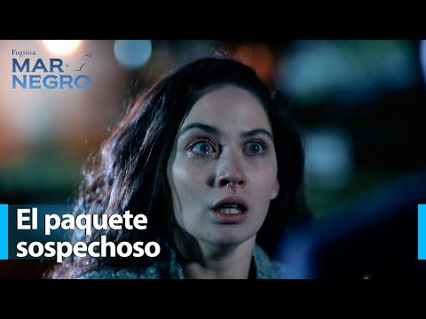 ¡Tahir le pidió a Berrak que respondiera por lo sucedido! - Mar Negro Capítulo 39 | Fugitiva