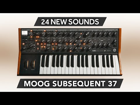 SCL309 - ( Bundle ) - Substantia + Custom Leads - Moog Sub 37 / Subsequent 37 - Video Preview 1