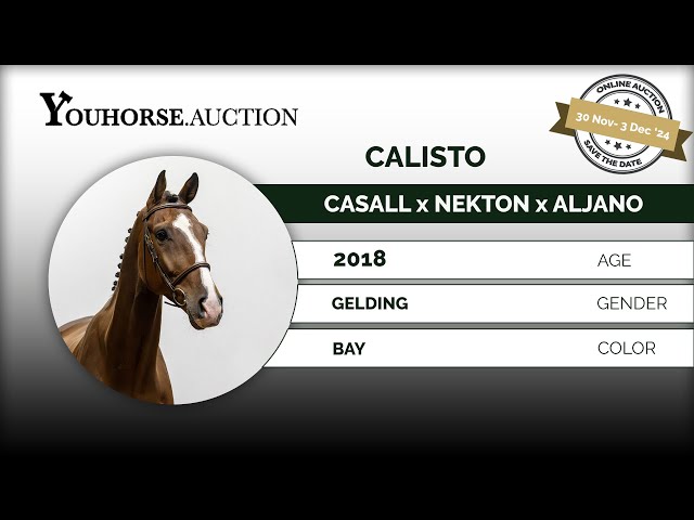 Calisto showvideo