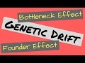 Genetic Drift | Founder Effect and Bottleneck Effect Explained