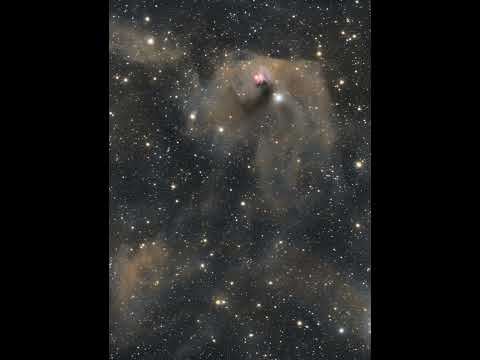T Tauri and Hind's Variable Nebula #shorts