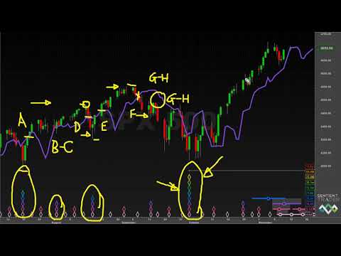 S&P500 - NASDAQ - BITCOIN  - Hurst Cycles Market Update - 15 November 2021