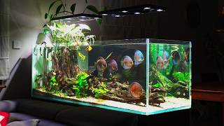 Miniatura filmu z YouTube