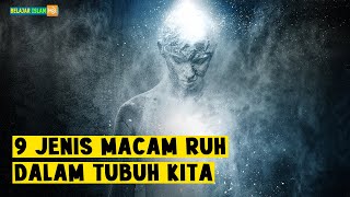 Download lagu NOT MANY PEOPLE KNOW...!! These Are the 9 Types of Spirits in Our Bodies mp3 Download lagu NOT MANY PEOPLE KNOW...!! These Are the 9 Types of Spirits in Our Bodies mp3