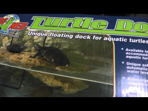 Short ZooMed Turtle Dock Review