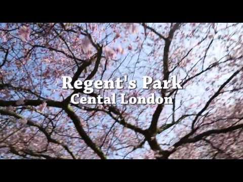 London's Regent's Park