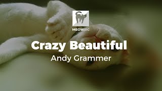 Crazy Beautiful - Andy Grammer (Lyrics)