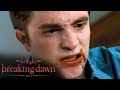 'Edward Does Everything to Save Bella' Scene | The Twilight Saga: Breaking Dawn - Part 1