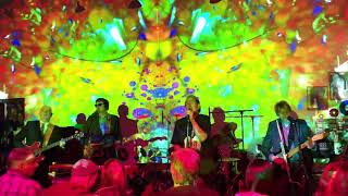 CHOCOLATE WATCHBAND - “I’m Not Like Everybody Else” (Kinks cover) 1/19/18