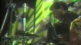 los tigres del norte  los dos plebes