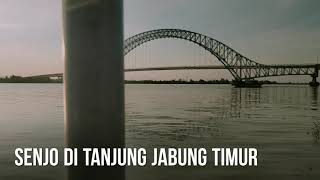 preview picture of video 'Sungai Batanghari Jambi Tanjung Jabung timur '