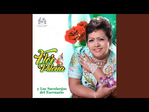 Cervecita / Quien Me Va Creer / Busco un Amigo / Ábreme la Puerta / Déjalo Por Favor / Mi Vida...