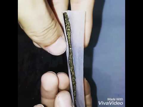 Apertando Um Beck 🍁