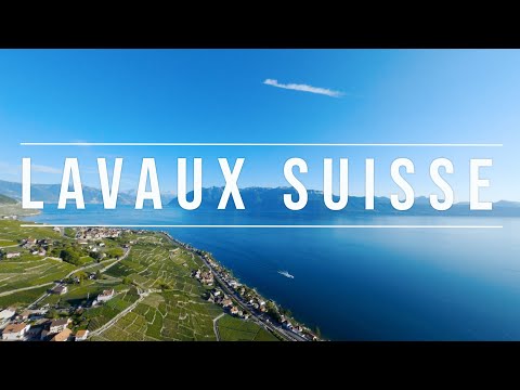 Le Lavaux, Suisse - 4K | Cinematic FPV