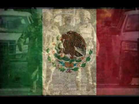 me vale ver gatos bravos.wmv