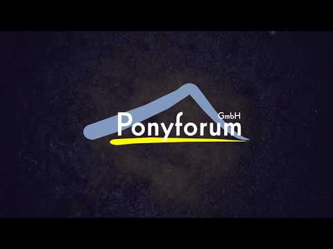 15j. schwarzbraune Stute v. Offshore Energy – Boss