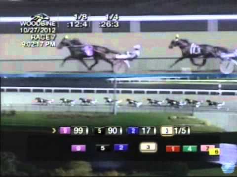 2012 Breeders Crown 2YO Colt & Gelding Pace - theharnessedge.com