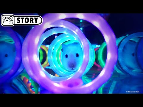Homura Ham - Neon Cube Hamster Maze 🐟 Aquarium and Minecraft 🐟 Homura Ham