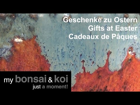 Bonsai - just a moment - Geschenke zu Ostern - Gifts at Easter - Cadeaux de Pâques