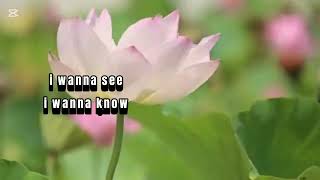 I Want to Live - John Denver / Lyrics